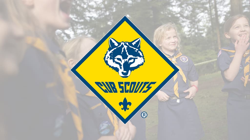 Scouts and leaders setting up a tent in a meadow.